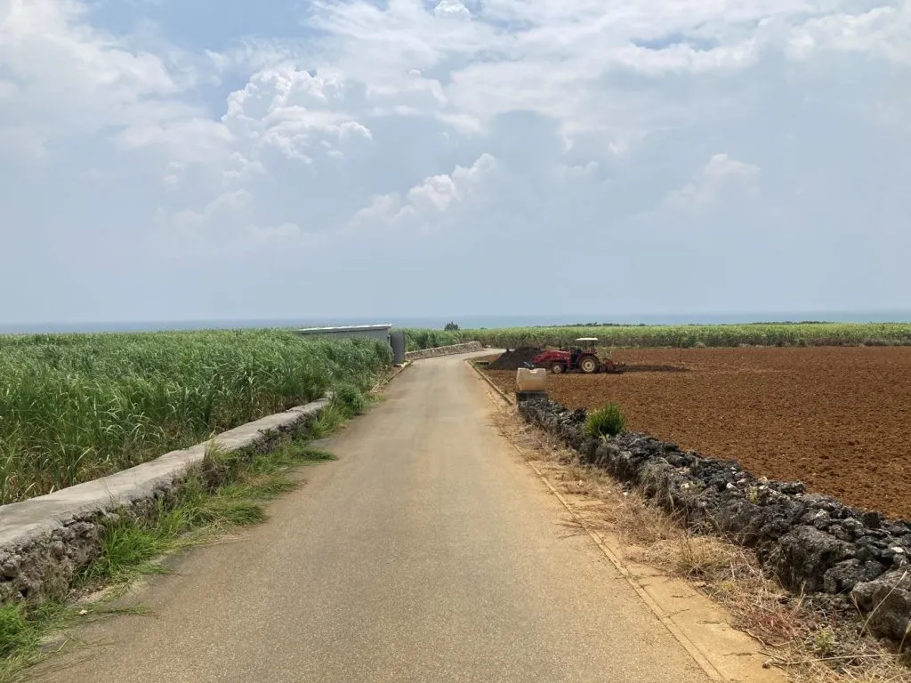 Miyako is a largely rural island with sugarcane agriculture