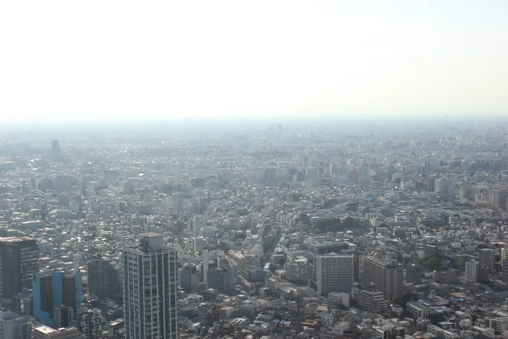 View from the Metropolitan Government Building