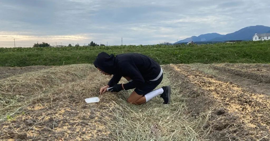 Planting seeds