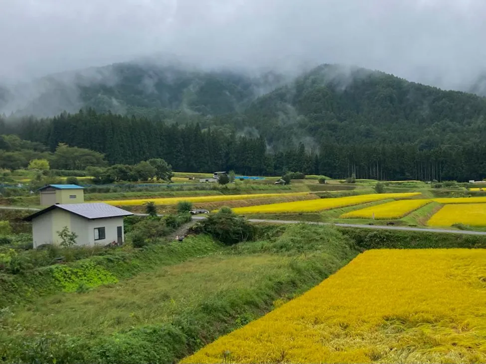 Watching “Love Village” makes me miss the Japanese countryside