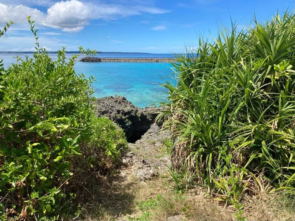An opening is made in the vegetation so that sea deities (kaijin-sama) can easily come ashore
